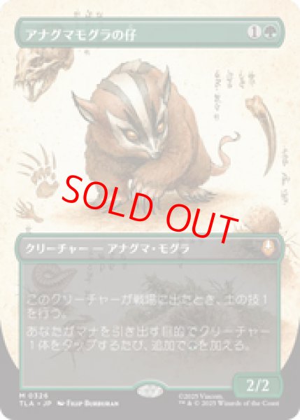 画像1: 【ボーダーレス】【日本語版】《アナグマモグラの仔/Badgermole Cub》[TLA] (1)