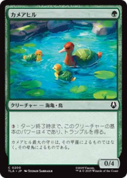 画像1: 『予約商品』【日本語版】《カメアヒル/Turtle-Duck》[TLA] (1)