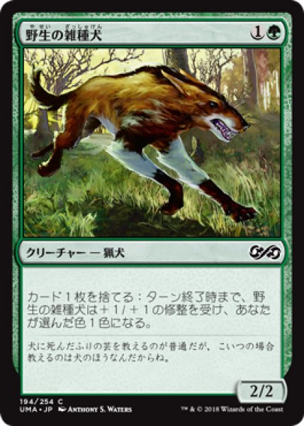 画像1: 【日本語版】《野生の雑種犬/Wild Mongrel》[UMA] (1)