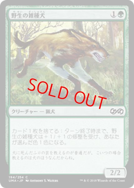 画像1: 【日本語版】《野生の雑種犬/Wild Mongrel》[UMA] (1)