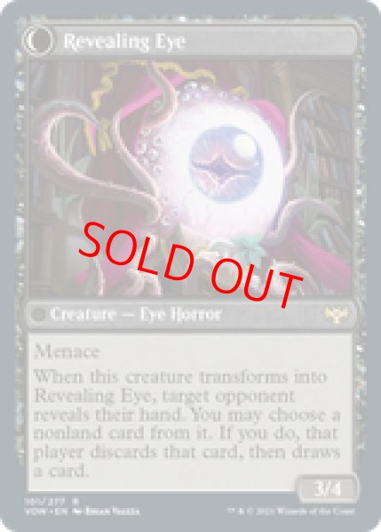 画像2: 【英語版】《隠し幕/Concealing Curtains》[VOW] (2)