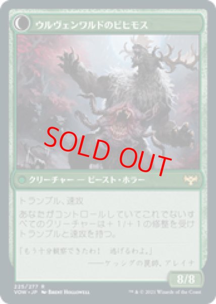 画像2: 【Foil】【日本語版】《ウルヴェンワルドの奇異/Ulvenwald Oddity》[VOW] (2)