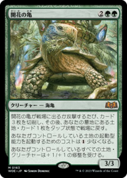 画像1: 【日本語版】《開花の亀/Blossoming Tortoise》[WOE] (1)