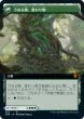 画像2: 【Foil】【拡張アート】【日本語版】《変わり樹の共生/Turntimber Symbiosis》[ZNR] (2)